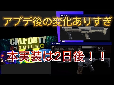 【CODm】アプデ後の設定など色々　※花粉症ごめん
