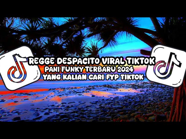 REGGE DESPACITO VIRAL TIKTOK PANI FUNKY TERBARU 2024‼️(PAKE GENSETNYA CUY) class=