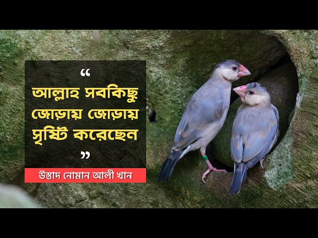 Qishloqda jinsiy aloqa haqida hikoyalar