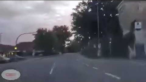 سورة الاحقاق || كاملة ||#تلاوة#قرآن#quran #shortvideo #tiktok #trending#subscribe #trend #اسلام_صبحي