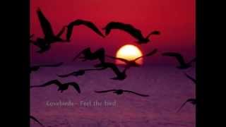 Lovebirds feat. Marie Tweek - Feel the bird