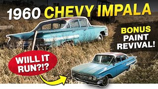 1960 Chevrolet Impala! Will it Run?!? Abandoned in a Field for 17 Years! Bonus! Paint Revival!