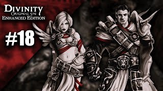 Divinity: Original Sin - Enhanced Edition #18