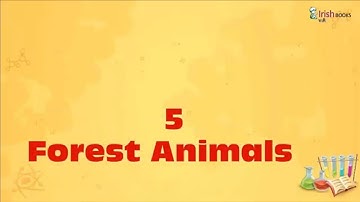 CHAPTER-5 OF CLASS-2 II FOREST ANIMALS  II ESSENTIAL SCIENCE IRISH.