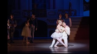 Cinderella's Ball