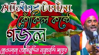 মোওলানা আমিনুদ্দিন নক্সেবন্দি সাহেব//molana aminuddin naqusabundi Sahab gojol