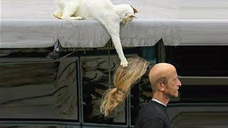 Funny Pets That Will Put A Smile On Your Face Instantly | Cool Pets