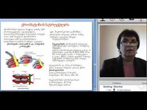 ნელი დათუკიშვილი, ლექცია 2, ნაწილი 2