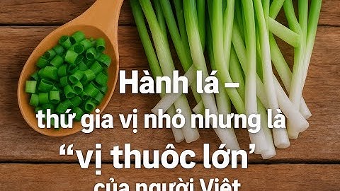Bí Mật Của Hành Lá: Gia Vị Bình Dân Giúp Phòng Ngừa Ung Thư