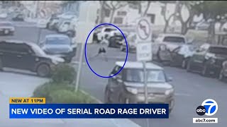 Video appears to show Tesla road-rage driver attack 2 women in Hawaii