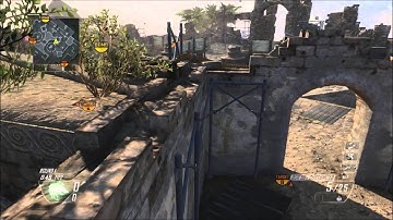 Nardish: Bo2 Invisible Gun Glitch Trickshot Tutorial (W/Online Shot!)