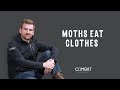 How to stop moths eating your clothes and carpets