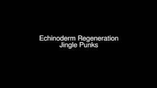Echinoderm Regeneration - Jingle Punks [映画] [ドラマチック] [01:11]