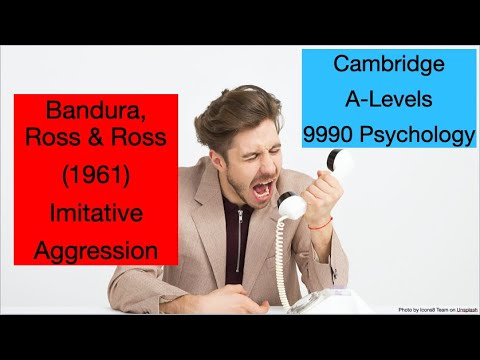 Bandura, Ross U0026 Ross (1961): Imitation Of Aggression - A-Levels 9990 Psychology