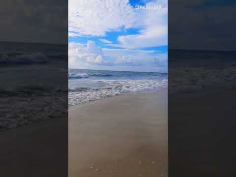 beach status//nature love//whatsapp status//beautiful sea beach waves//#shorts