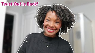 My Latest Twist Out + Maintenance