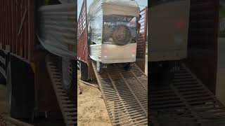 Jsa E Rikshaw New Color