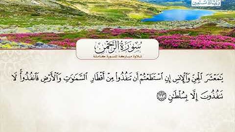 سورة الرحمن | القارئ محمد الهادي عبد العزيز توري من السنغال