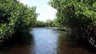 Everglades2012Mobil
