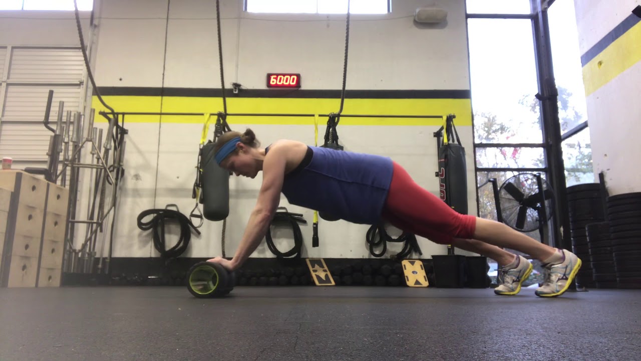Double Roller Roll-Outs pull ups costco