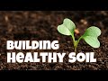 Soil Health | Organic Gardening