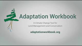 Celebrity Adaptation Workbook 4 1 final Profile