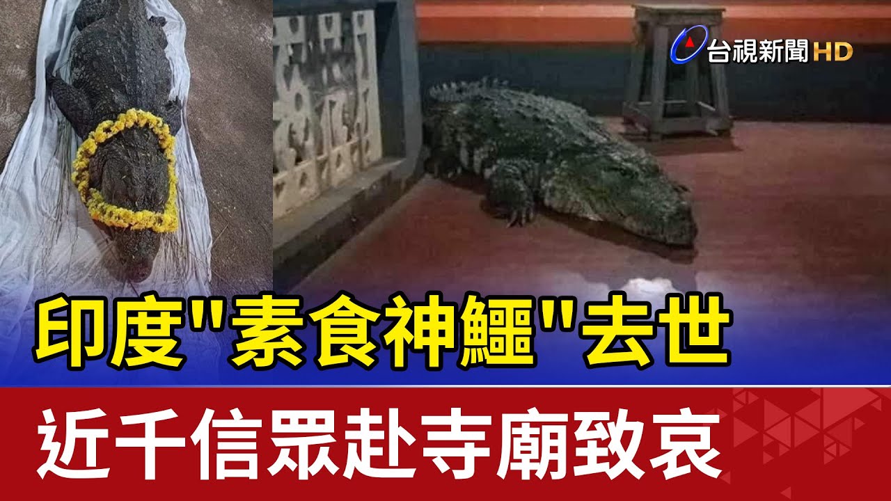 印度