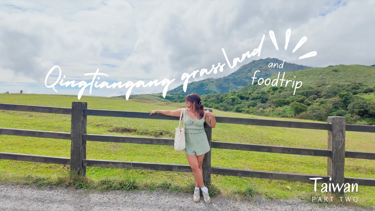 Taiwan Vlog Pt. 2| Qingtiangang Grassland + Shilin night Market | 4K