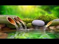 Relaxing Sleep Music 24/7, Calm Music, Yoga, Sleep Meditation, Spa, Study Music, Sleeping Music