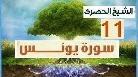 المصحف المعلم الشيخ الحصري سورة يونس الجزء الحادي عشر الوجه17