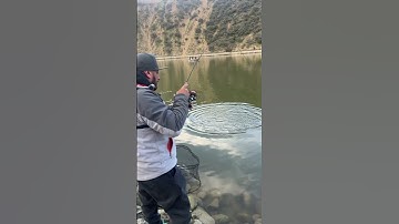 Does Double Drop Shot Work? Sirve el arreglo DoBle? #trout #truchas #fishing #shorts
