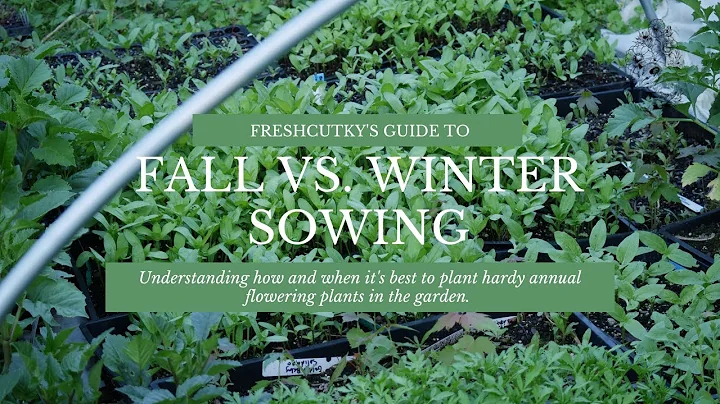 WINTER SOWING OR FALL PLANTING: WHEN to Plant Cut ...