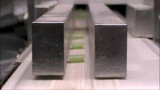 Artaic Mosaic Robot