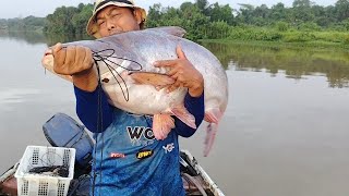 Download Lagu Ingatkan Sang Buaya Makan Rawai, Rupanya Ikan  MONSTERS!  yang timbul, 7 MP3
