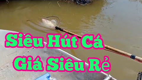 kích cá rô phi 12 phét cá nổi đẹp như phao lh 0362921480