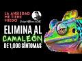 ANSIEDAD: ELIMINA al CAMALEON de los 1,000 SÍNTOMAS