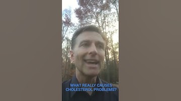What Really Causes Cholesterol Problems?