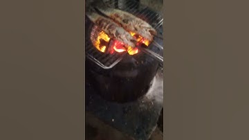 Cá Lóc Nướng#cute #shorts #short