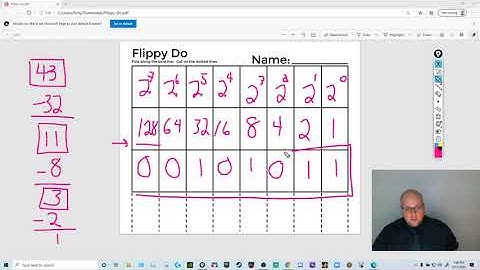 Flippy-Do and Binary Explanation