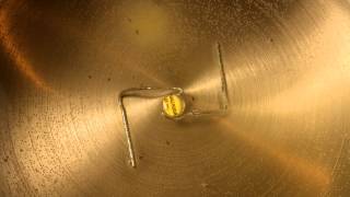 Time-Lapse of Empty Pill Dissolving