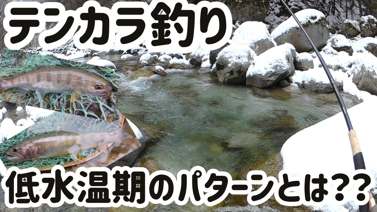 必見】パターンが分かればもっと釣れる！テンカラ釣り - YouTube