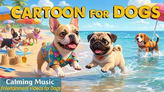 Dog Cartoon: Calming DOG TV &amp; Relaxing Music for Dogs Home Alone 🦴📺 Entertaining Videos