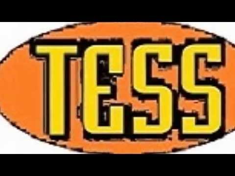 TESS Travel Agency