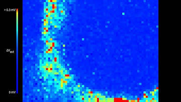 Spiking activity from cortical culture with a 3D scaffolding (25 Day In Vitro)