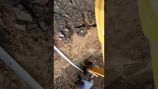 DIGMAX II DIGGING DIGMAX 15FT*