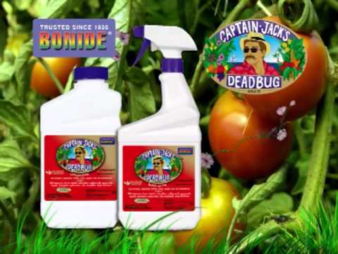 Captain Jack's Dead Bug Brew by Bonide - YouTube