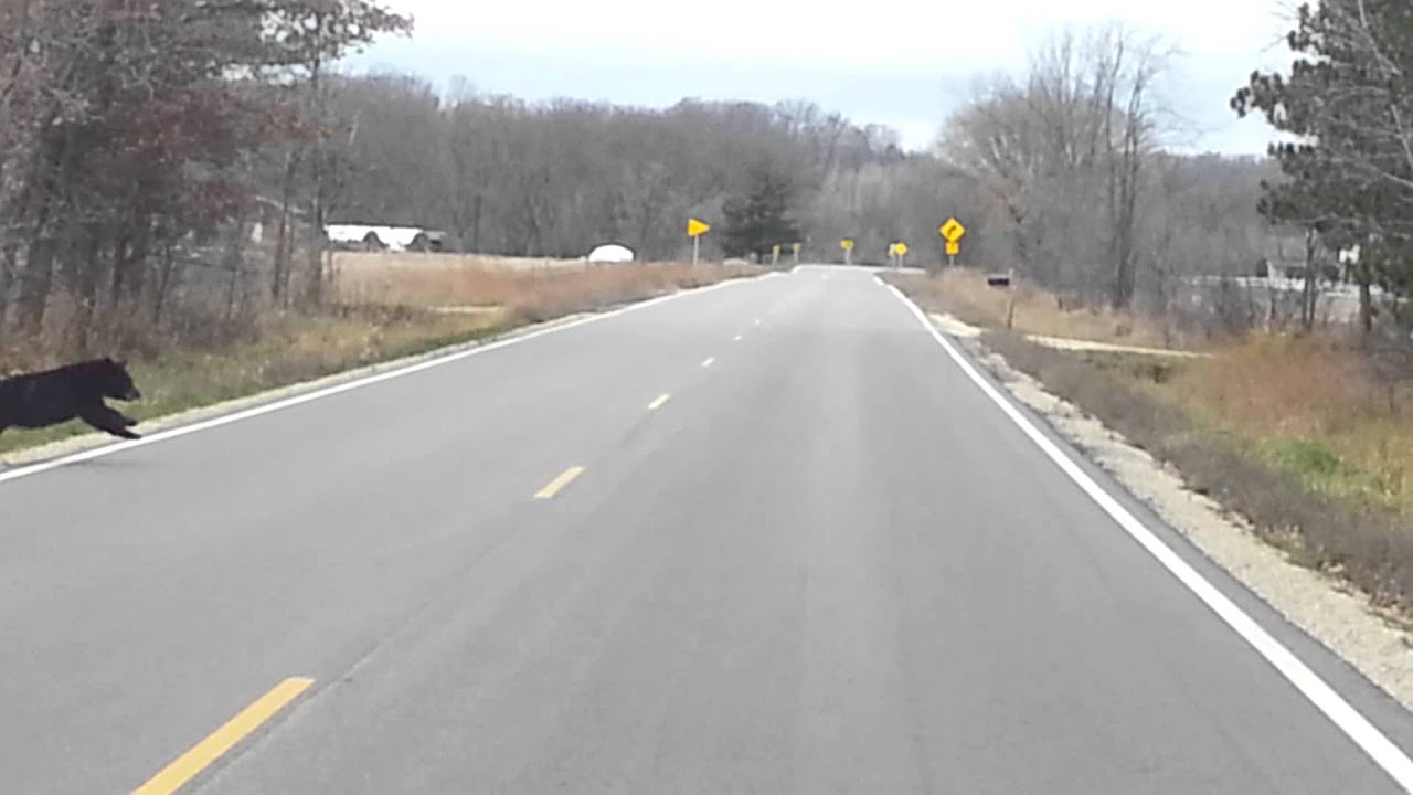 Boyceville Bears 102914 YouTube