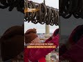 Son Mahyacı
