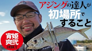 【デイアジング】藤原真一郎が新作ロッド2本を携えてアジの居場所を見つけ出す！～宵姫爽弐で楽しむアジング初場所攻略！【藤原真一郎】