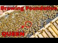 What your new bees need  nuc follow along ep 2  drawing foundation